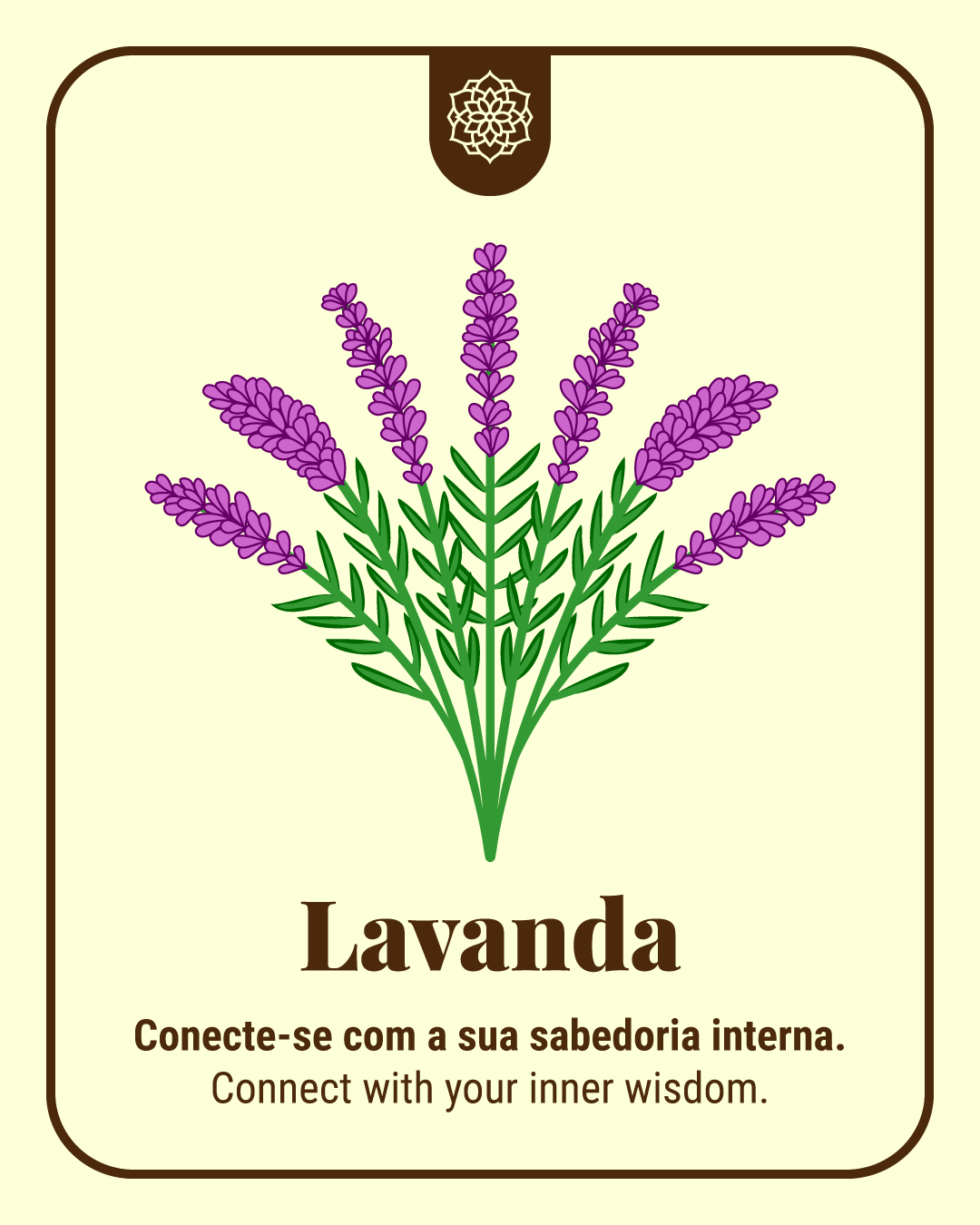 Lavanda - Mensagem Oracular